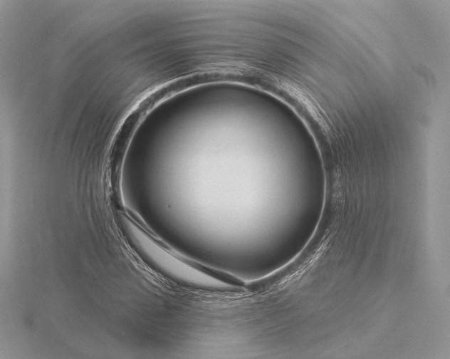 X0000116160923200912071322