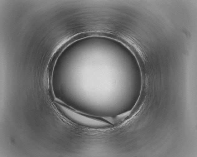 X0000116160925200912071322