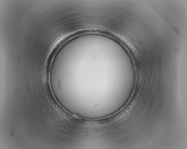 X0000116160927200912071322