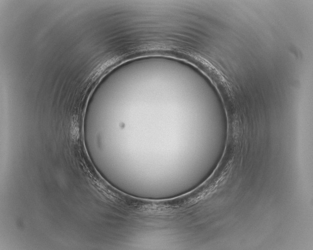 X0000116160929200912071322