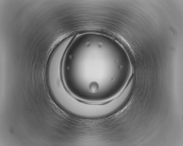 X0000116160930200912071322