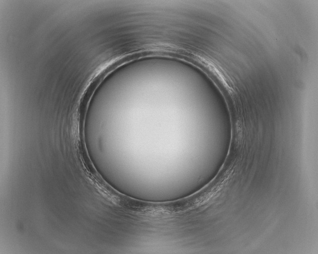 X0000116160931200912071322