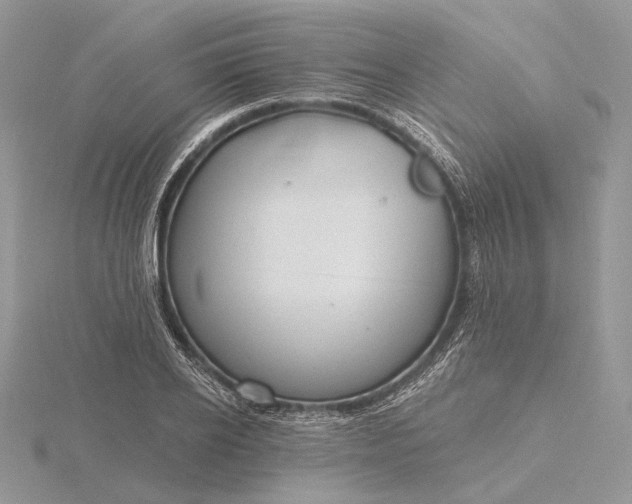 X0000116160934200912071322