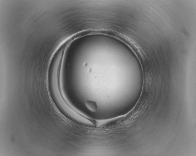 X0000116160935200912071322