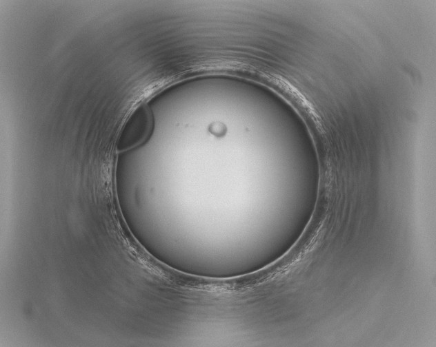 X0000116160937200912071322