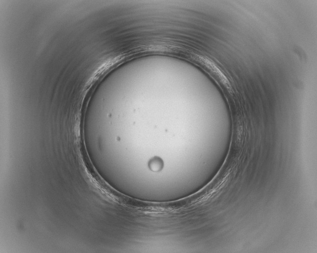 X0000116160938200912071322