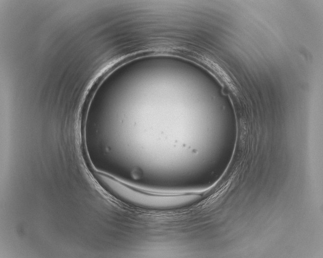 X0000116160939200912071322