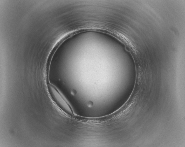 X0000116160942200912071322