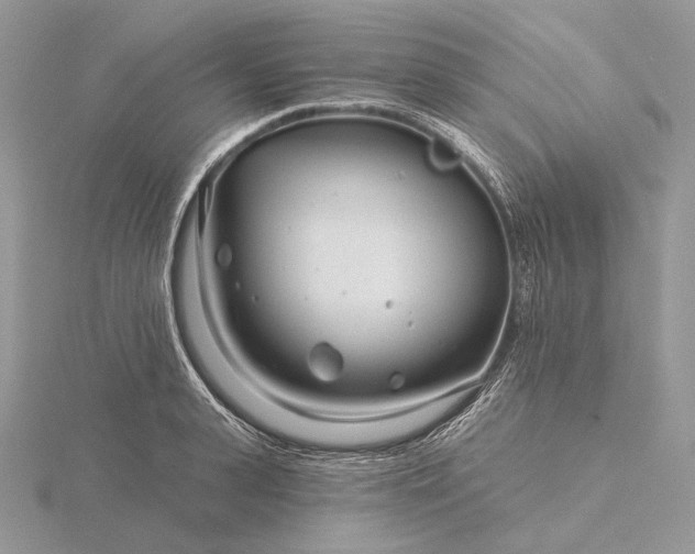 X0000116160943200912071322