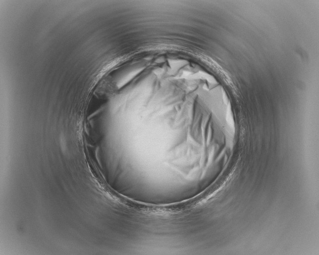 X0000116160945200912071322