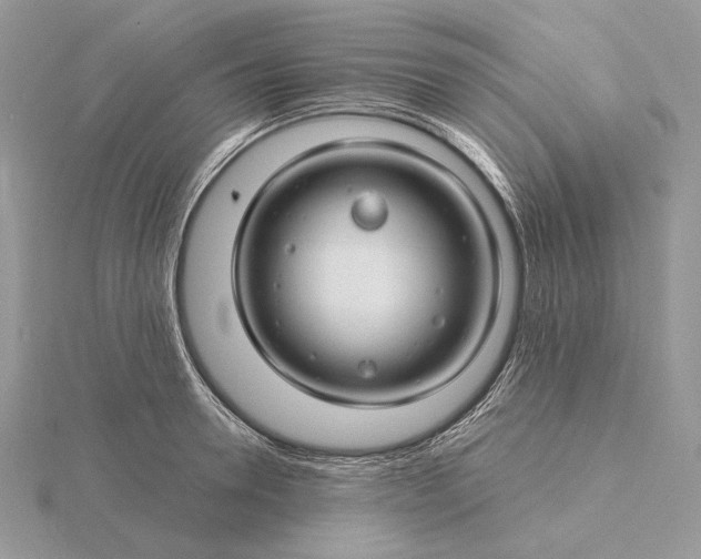 X0000116160946200912071322