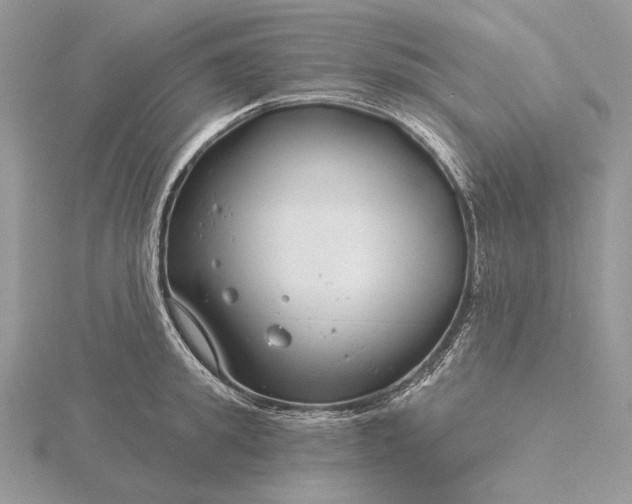 X0000116160949200912071322