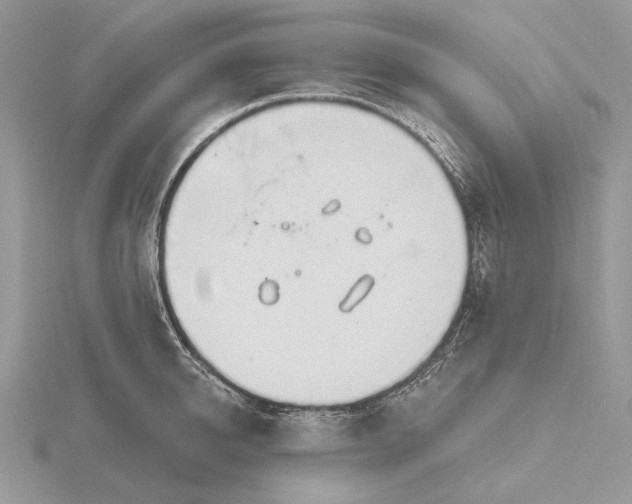 X0000116160950200912071322