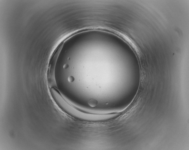 X0000116160951200912071322