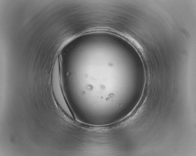 X0000116160953200912071322