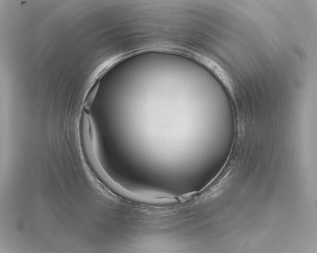 X0000116160954200912071322