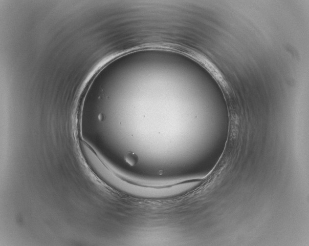 X0000116160955200912071322