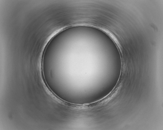 X0000116160957200912071322