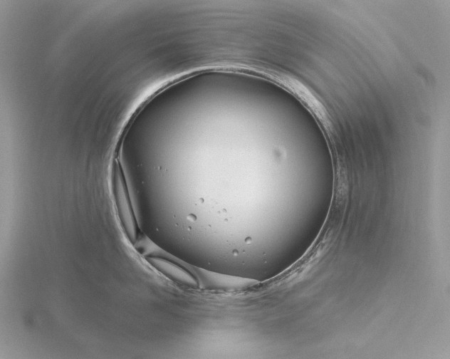 X0000116160958200912071322