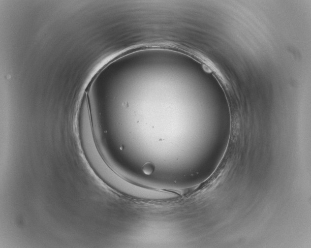 X0000116160959200912071322