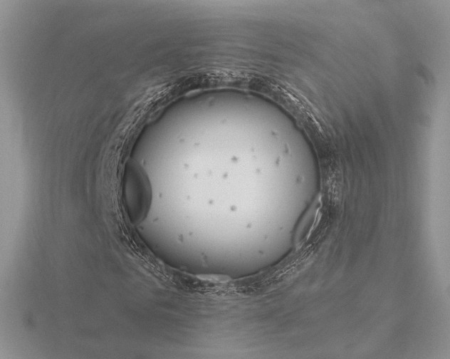 X0000116160961200912071321