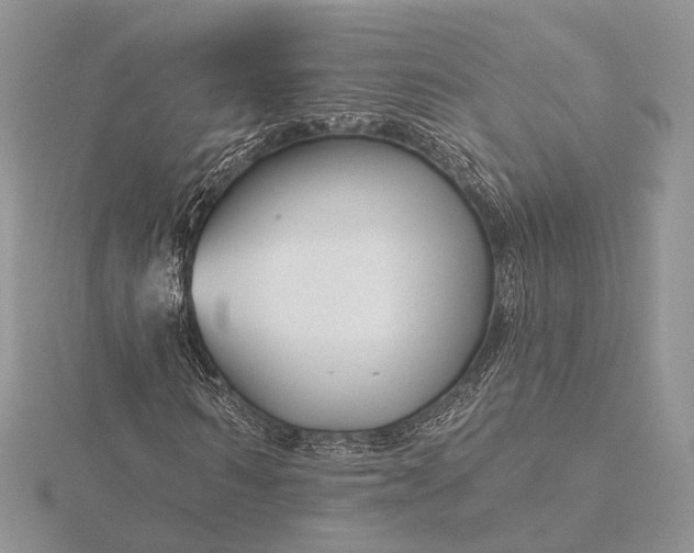 X0000116160962200912071321