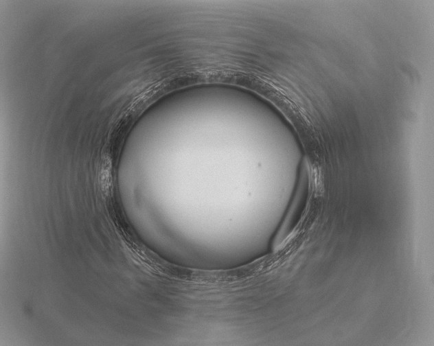 X0000116160963200912071321