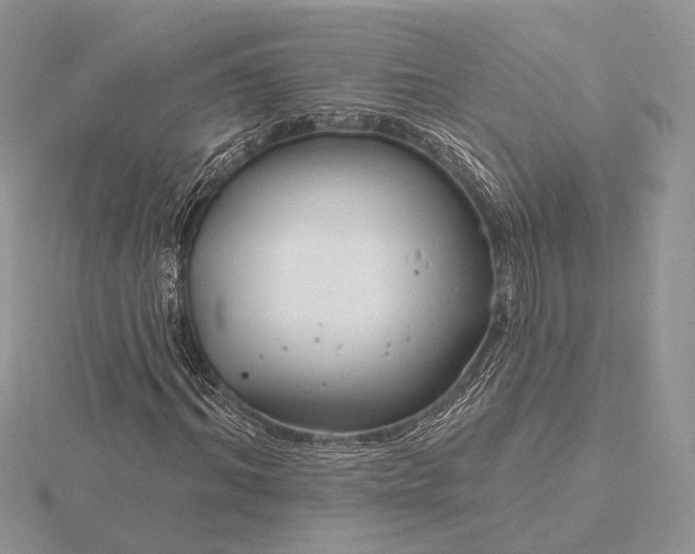 X0000116160964200912071321