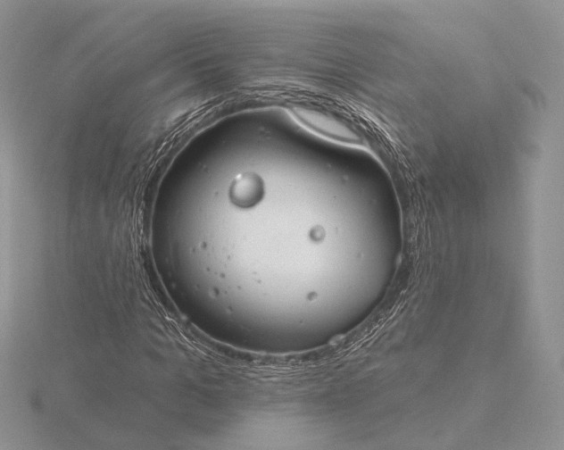 X0000116160965200912071321