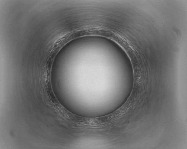 X0000116160966200912071321