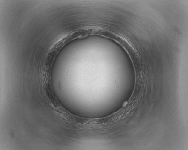 X0000116160967200912071321