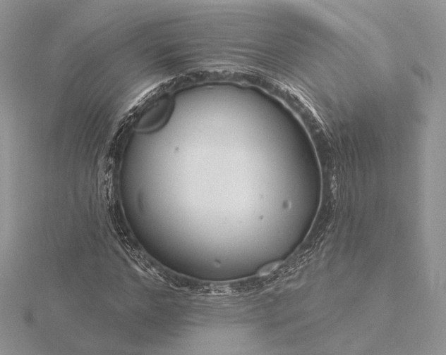 X0000116160968200912071321