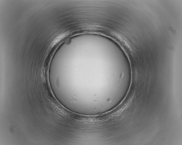 X0000116160970200912071321