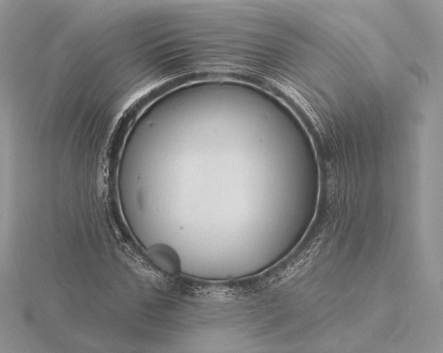 X0000116160971200912071321