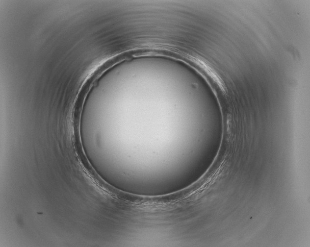 X0000116160972200912071321