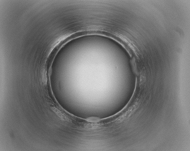 X0000116160973200912071321