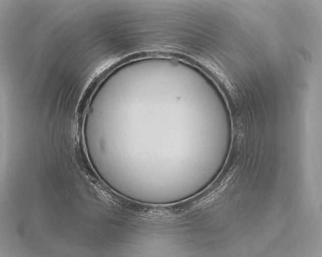 X0000116160974200912071321