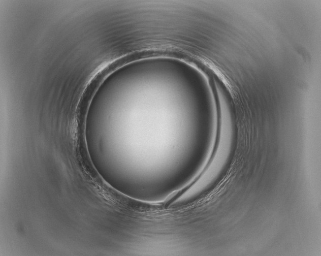 X0000116160975200912071321