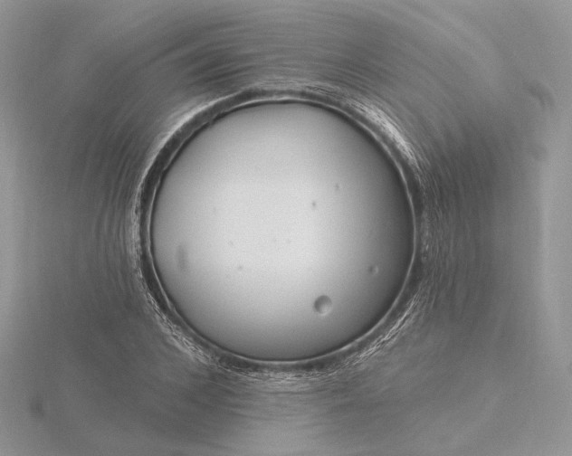 X0000116160976200912071321