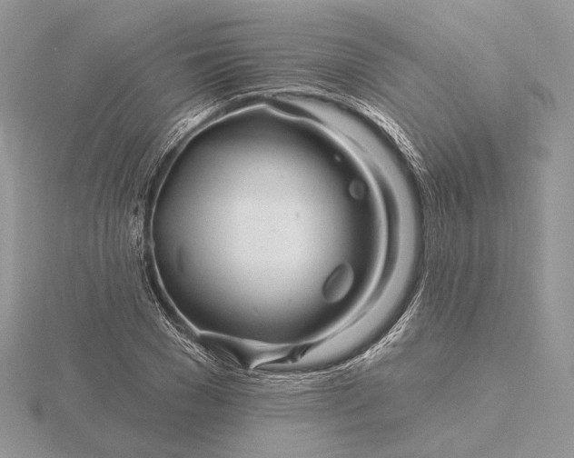 X0000116160977200912071321