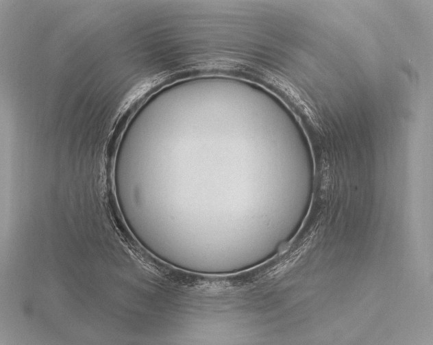 X0000116160978200912071321