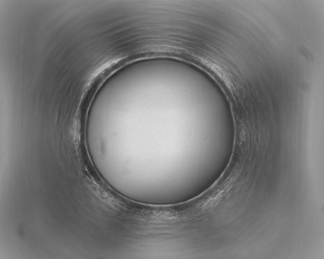 X0000116160979200912071321