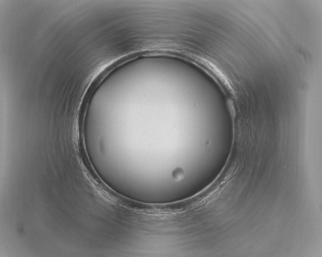 X0000116160980200912071321