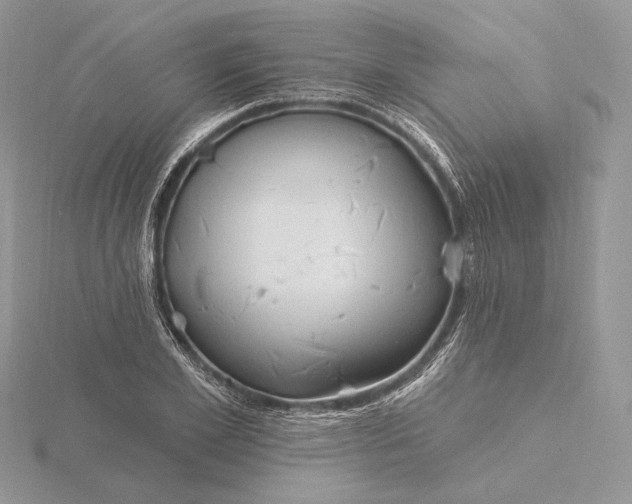 X0000116160981200912071321