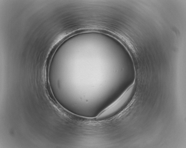 X0000116160982200912071321