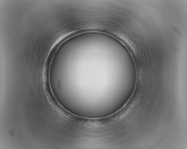 X0000116160983200912071321