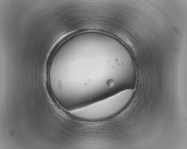 X0000116160984200912071321