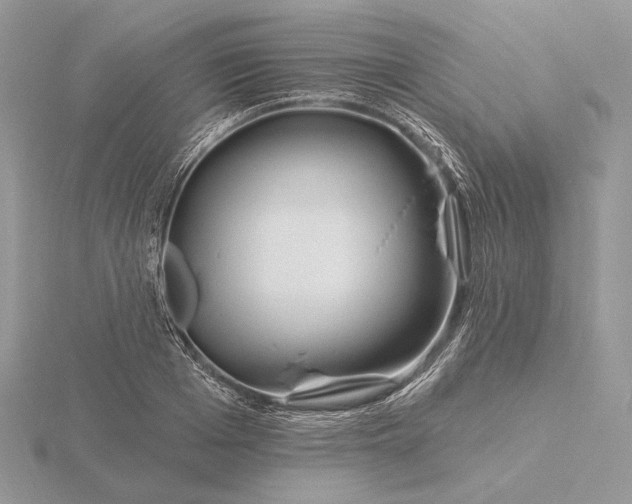 X0000116160985200912071321