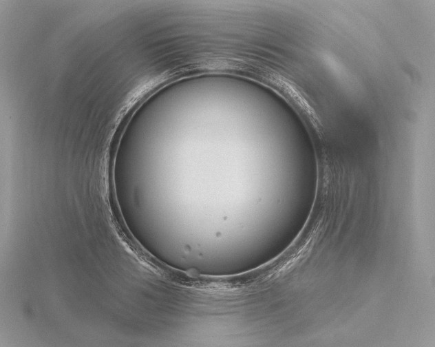 X0000116160986200912071321