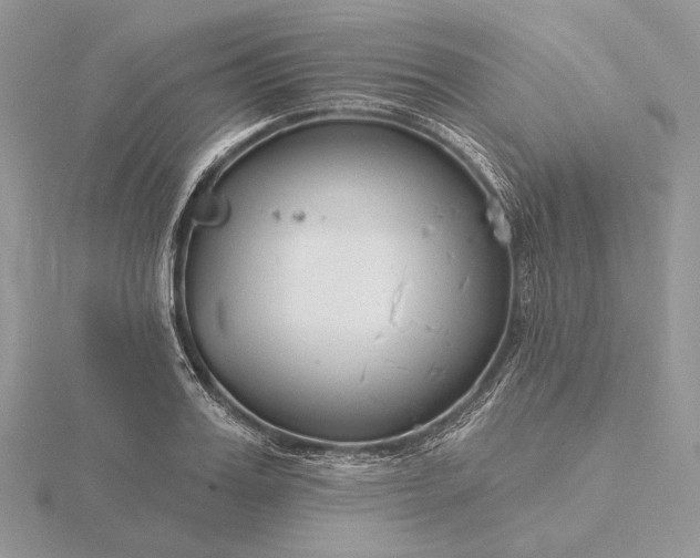 X0000116160987200912071321